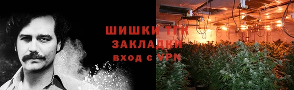 ПСИЛОЦИБИНОВЫЕ ГРИБЫ Осташков