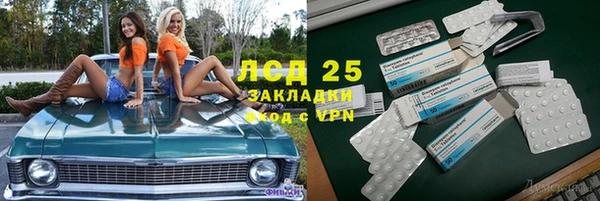 ПСИЛОЦИБИНОВЫЕ ГРИБЫ Осташков