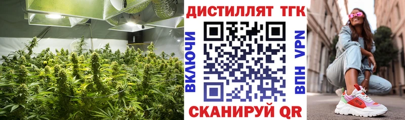Дистиллят ТГК гашишное масло  Аркадак 