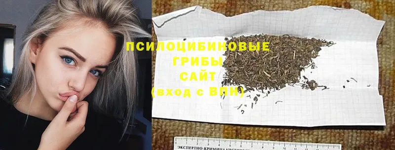 Галлюциногенные грибы мицелий  наркота  гидра зеркало  Аркадак 